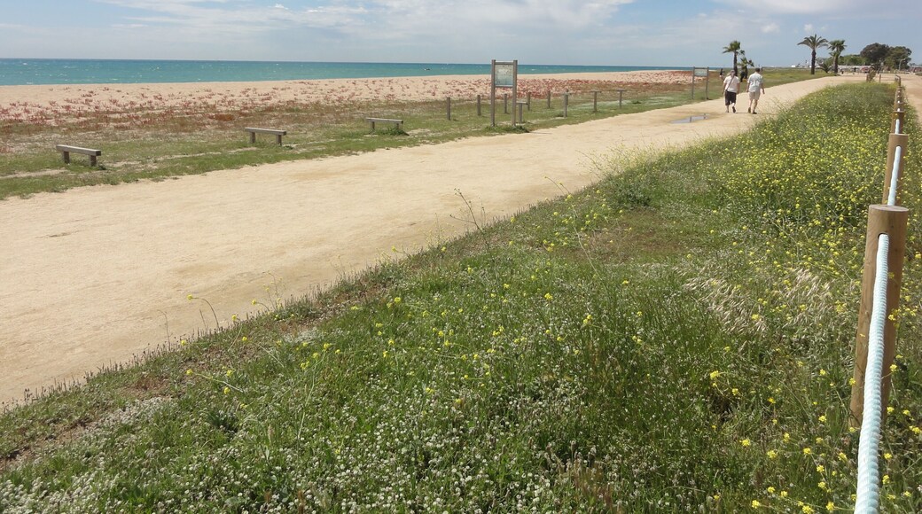 This is a a photo of a beach in Catalonia, Spain, with id: