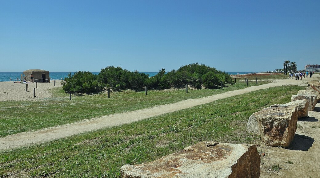 This is a photography of a Site of Community Importance in Spain with the ID: