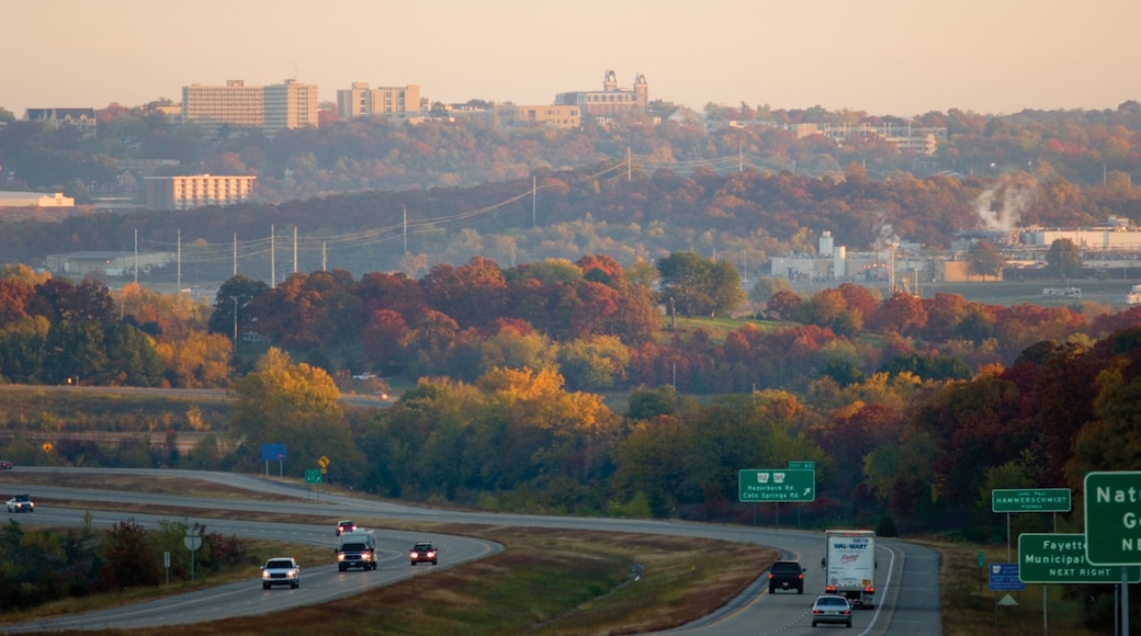 Bentonville - Fayetteville showing landscape views and street scenes