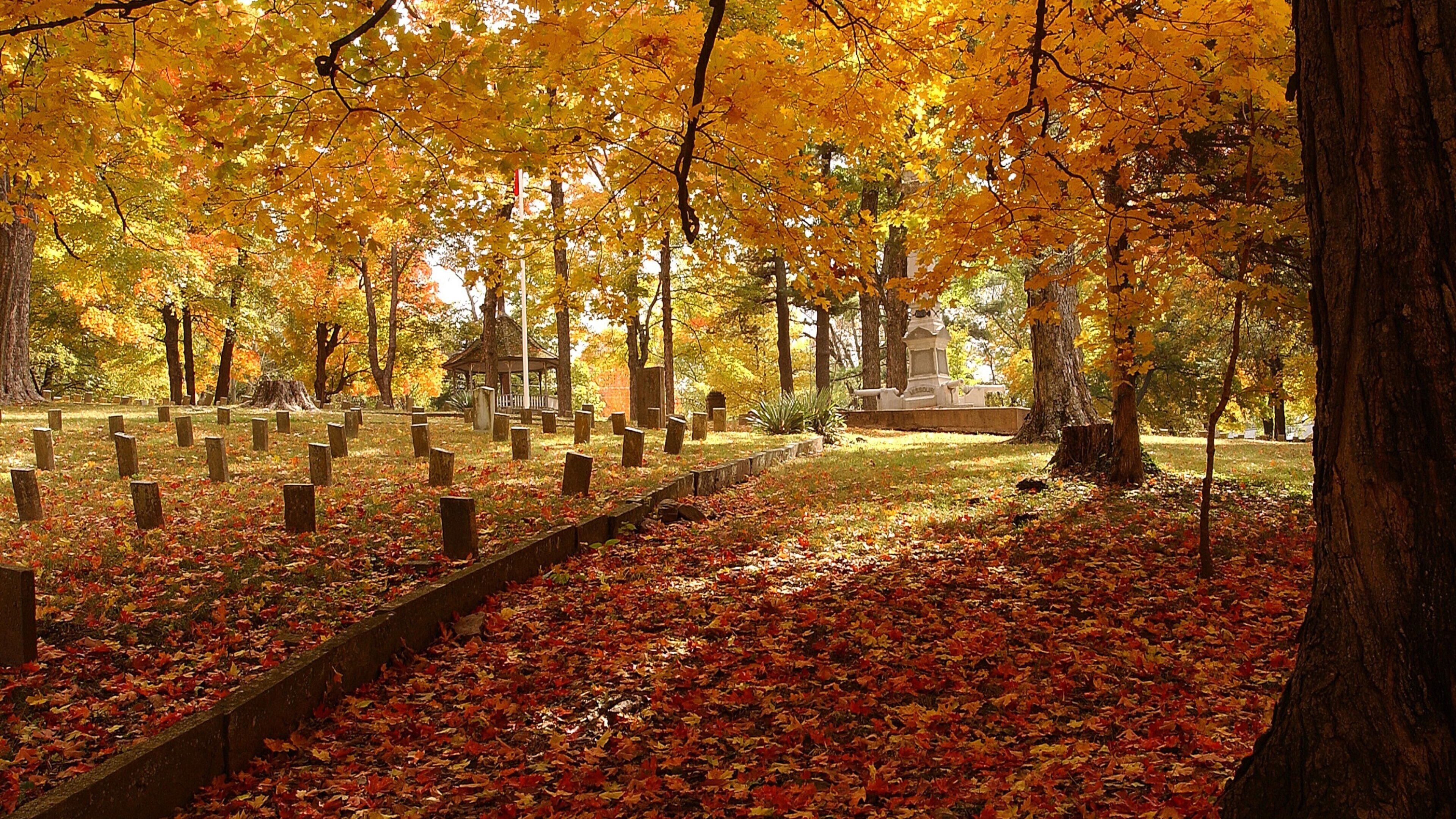 Bentonville - Fayetteville showing a cemetery, autumn leaves and a park