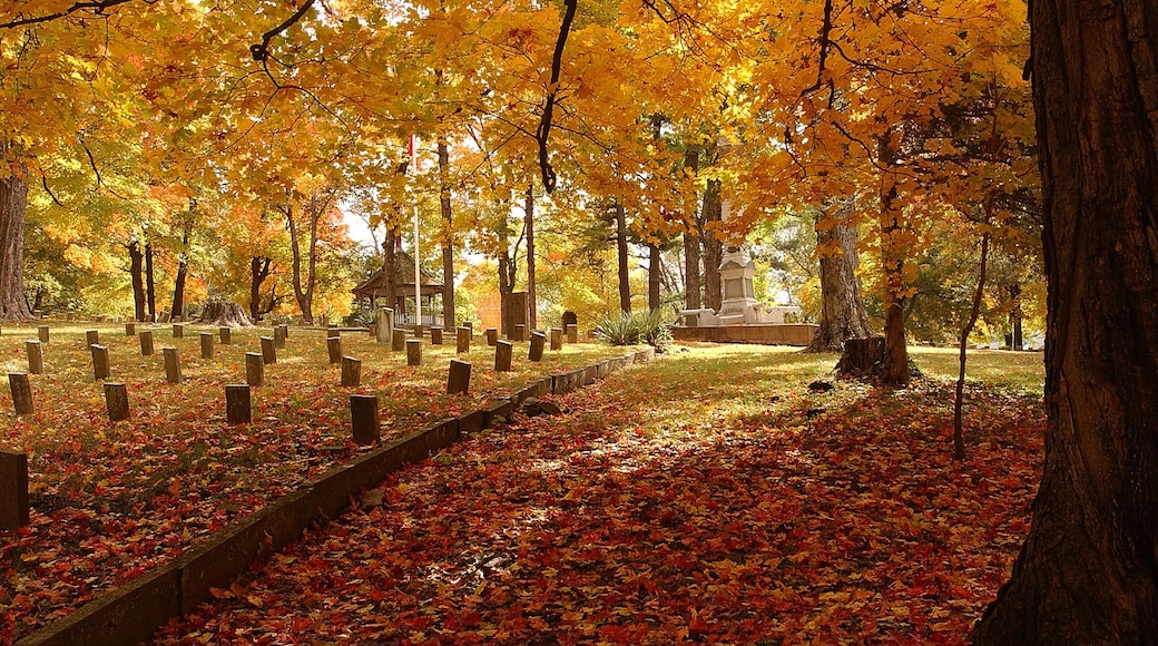 Bentonville - Fayetteville showing a cemetery, autumn leaves and a park