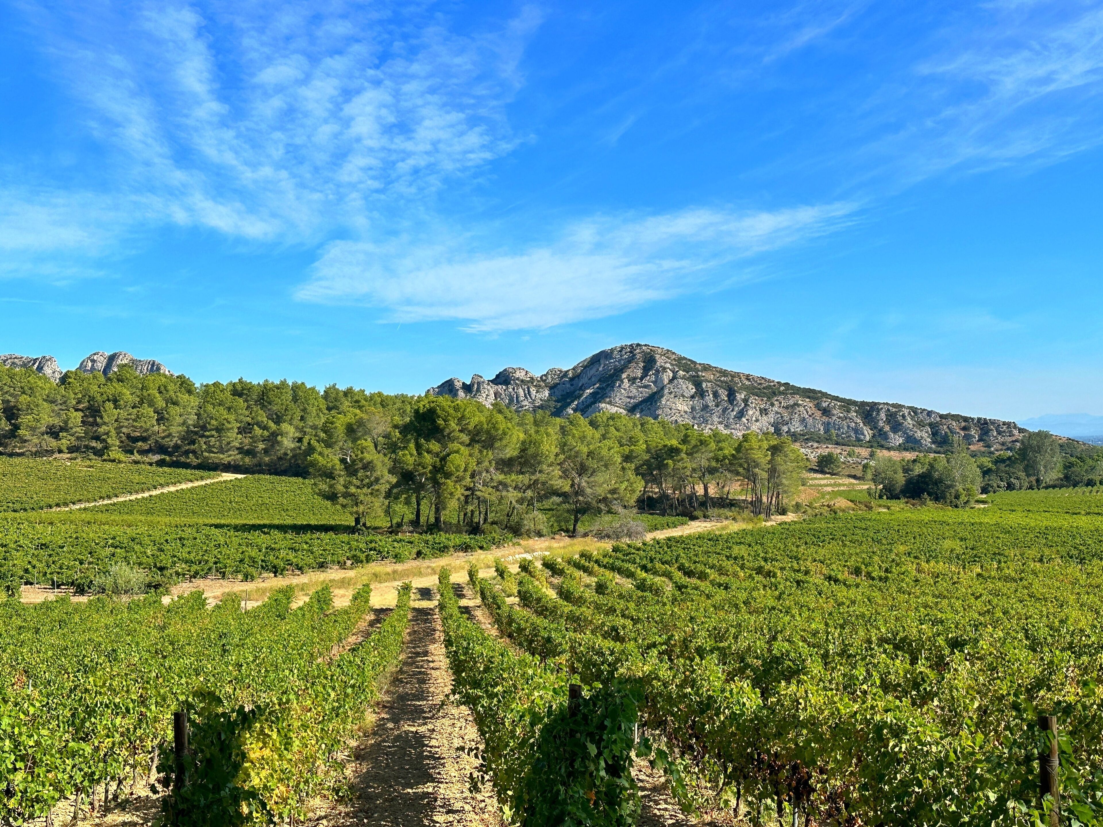 Maussane-les-Alpilles