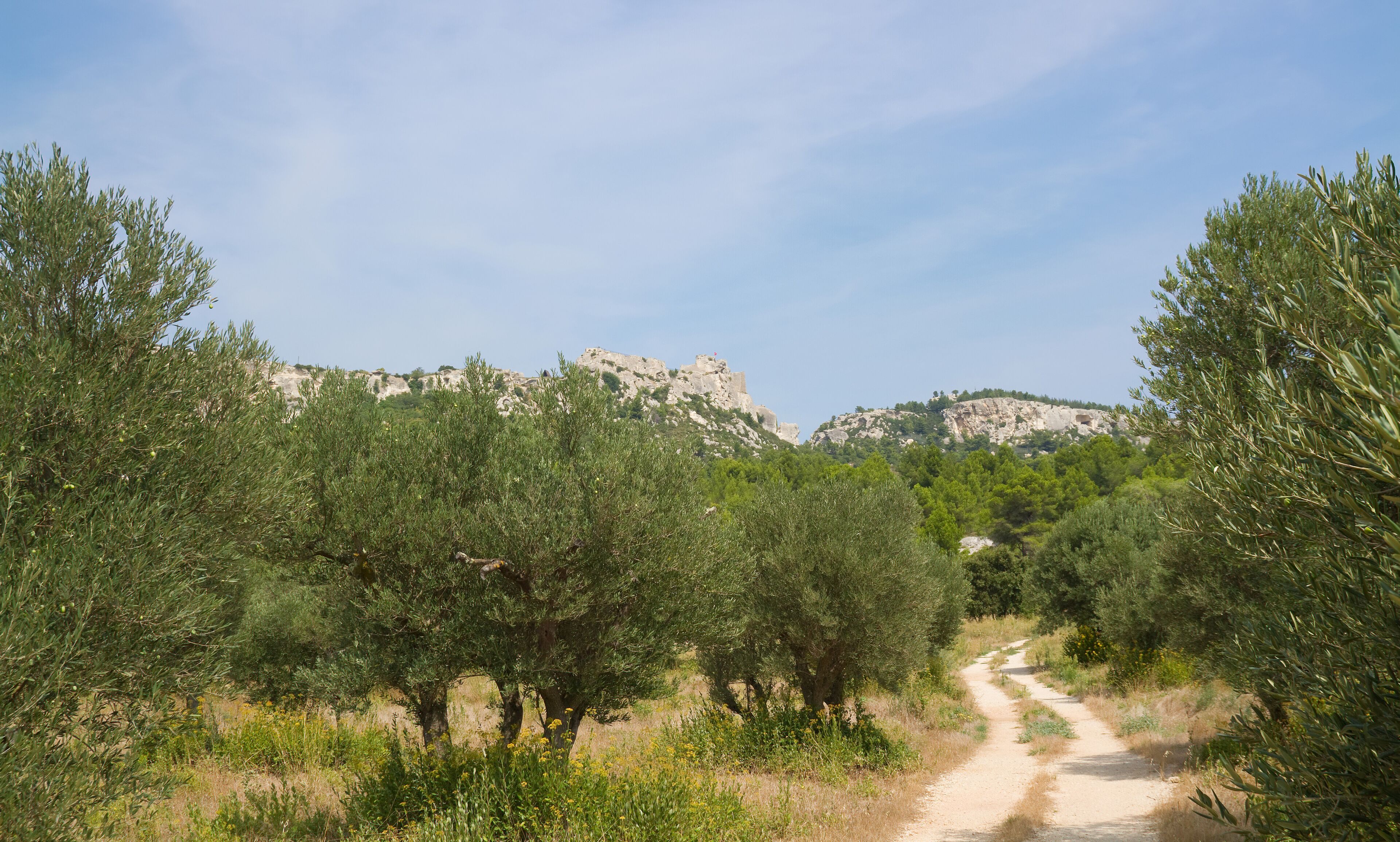 Maussane-les-Alpilles