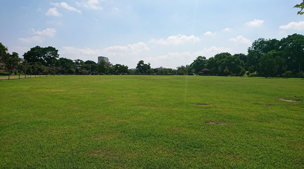 ไธญๅฃขๅ้พๅฒก่ฌๅชๅ
ฌๅ