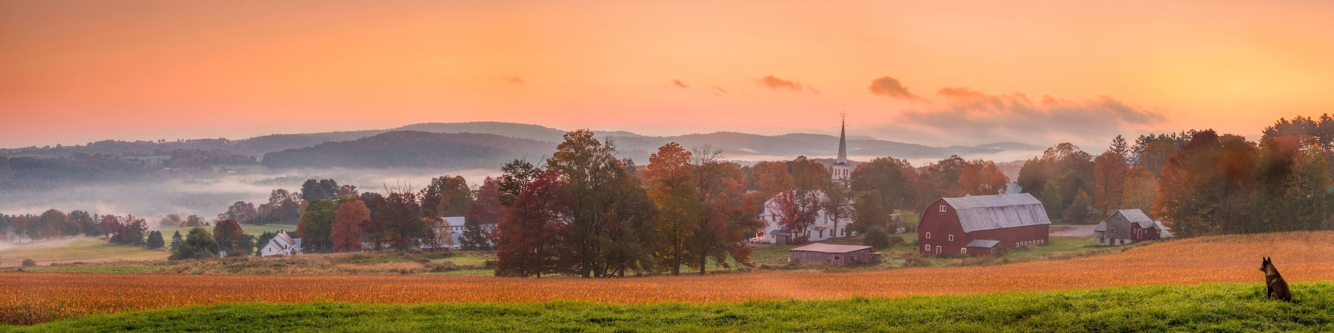 Morning breaks over Peacham, Vermont with a dog admiring the vibrant sky