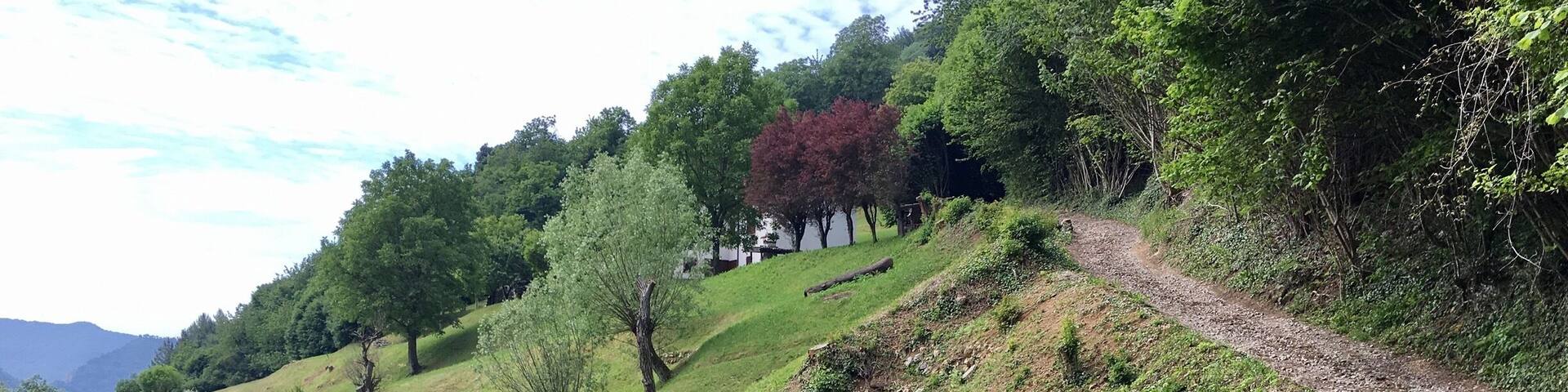 #TakeAHike #trekking #mountains #italy #alps #green