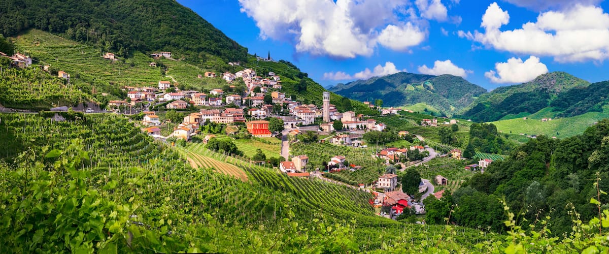 A hillside village with terraced vineyards and a prominent tower.