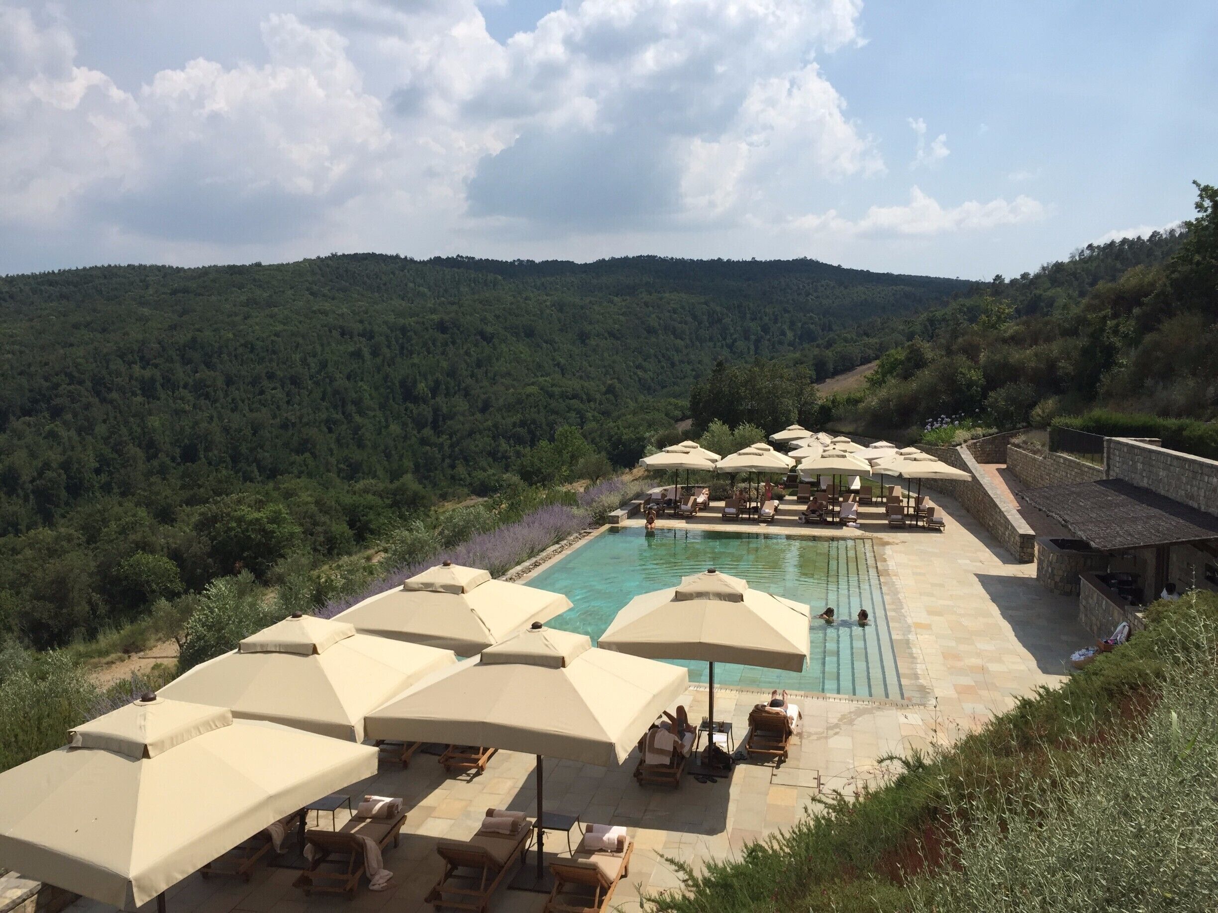 A poolside area with lounge chairs and umbrellas, surrounded by a forested landscape.