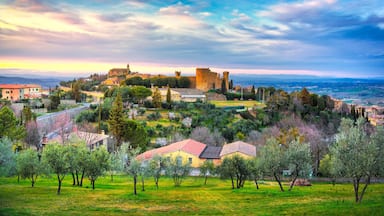A historic castle on a hill with surrounding greenery and buildings.