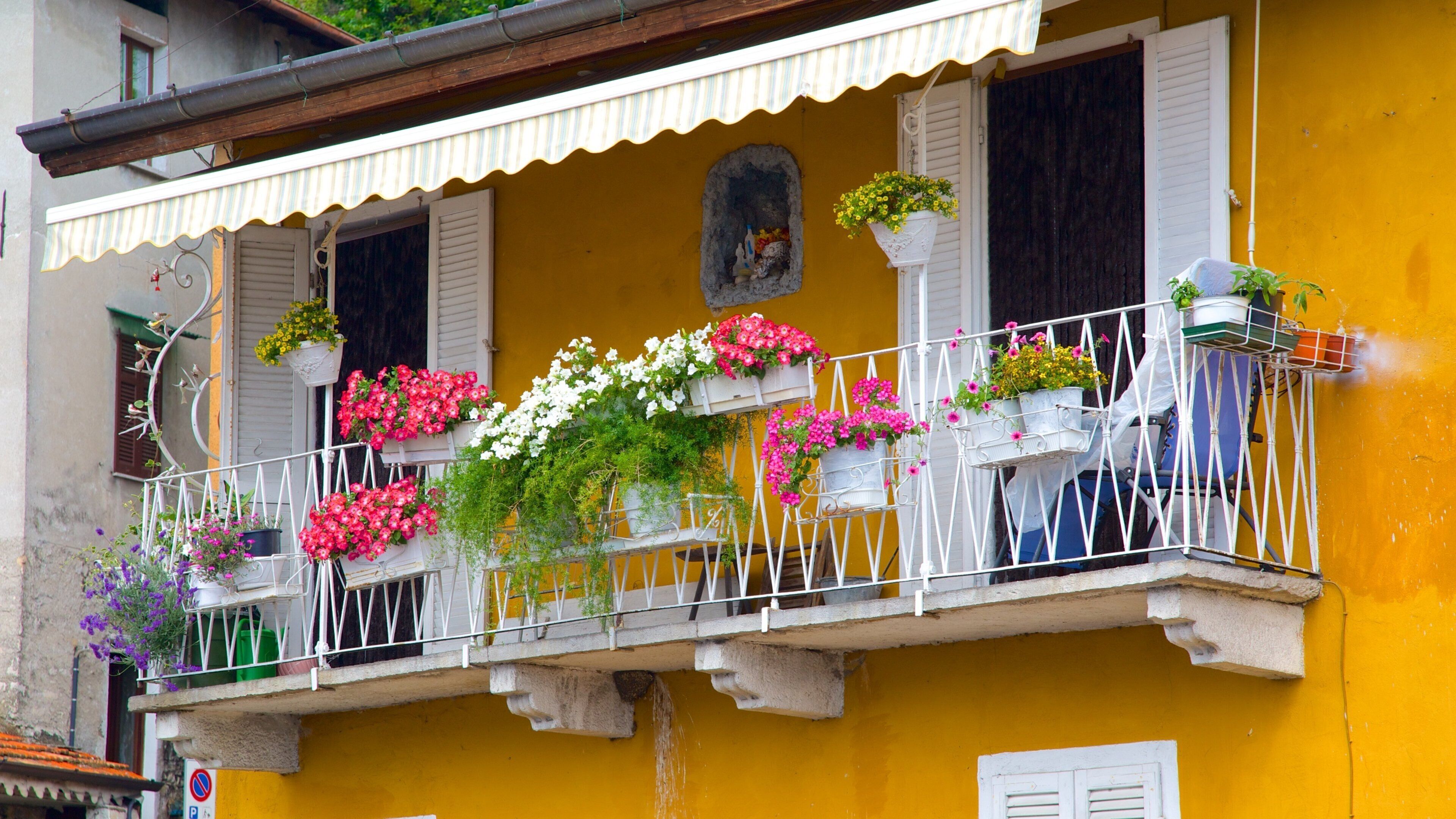 Argegno caratteristiche di fiori e casa