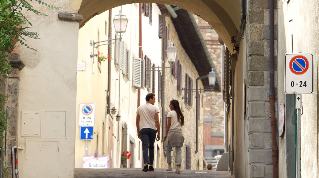 Panzano in Chianti which includes heritage architecture as well as a couple