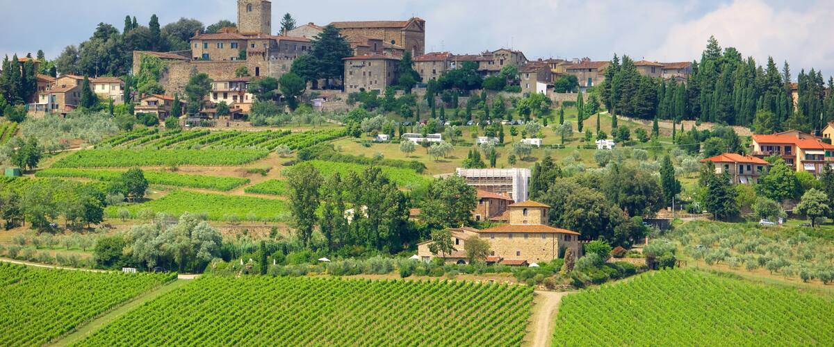 A hillside village with terraced vineyards, historic stone buildings, and a prominent tower.