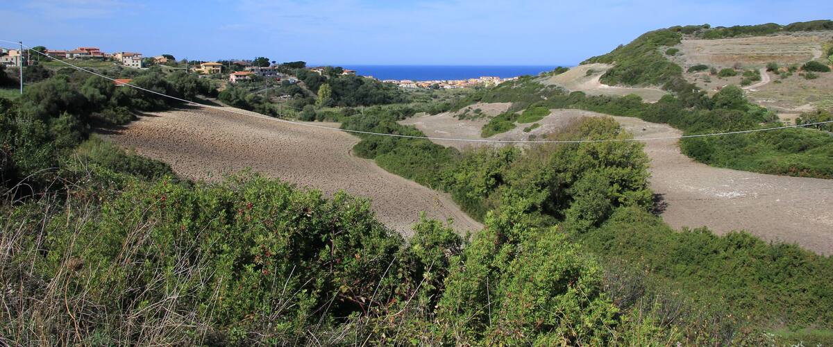 A coastal landscape with rolling hills, a clear blue sky, and a distant view of the sea.