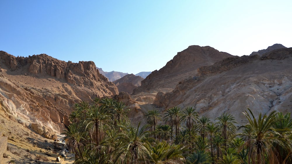 Canyons and palm trees - an Oasis of Nefta, Chebika, Tunisia