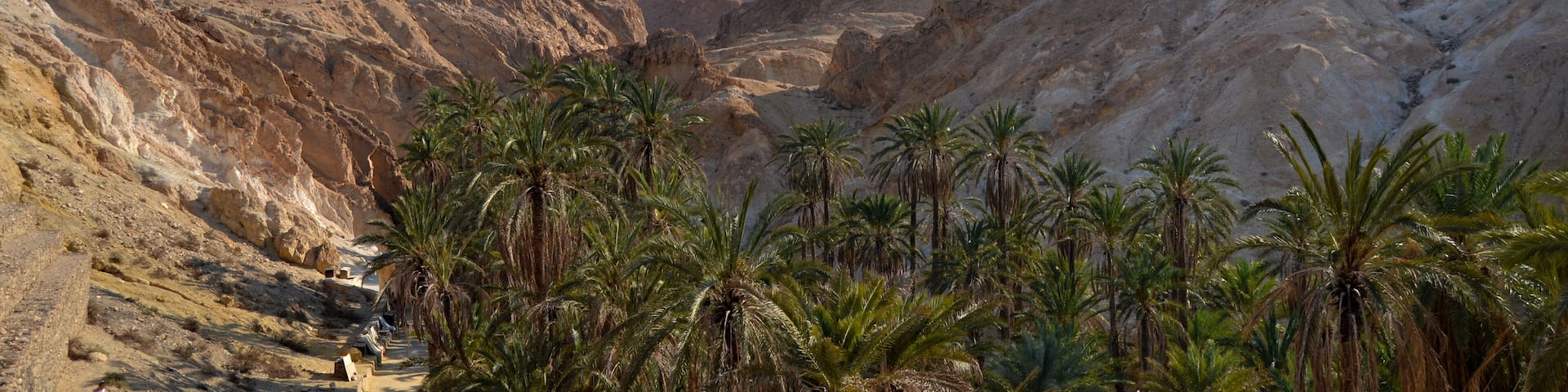 Canyons and palm trees - an Oasis of Nefta, Chebika, Tunisia