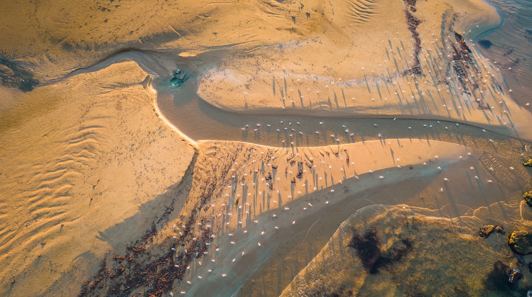 Aerial View of Donnalucata and Mediterranean Seat at Dawn, Scicli, Ragusa, Sicily, Italy, Europe