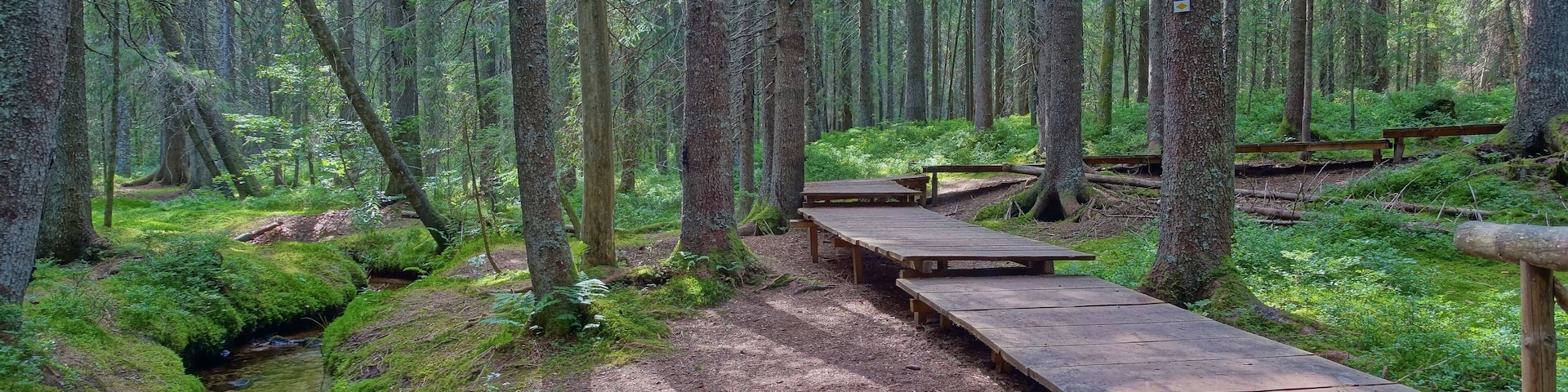 Auf dem Zauberwald-Pfad.