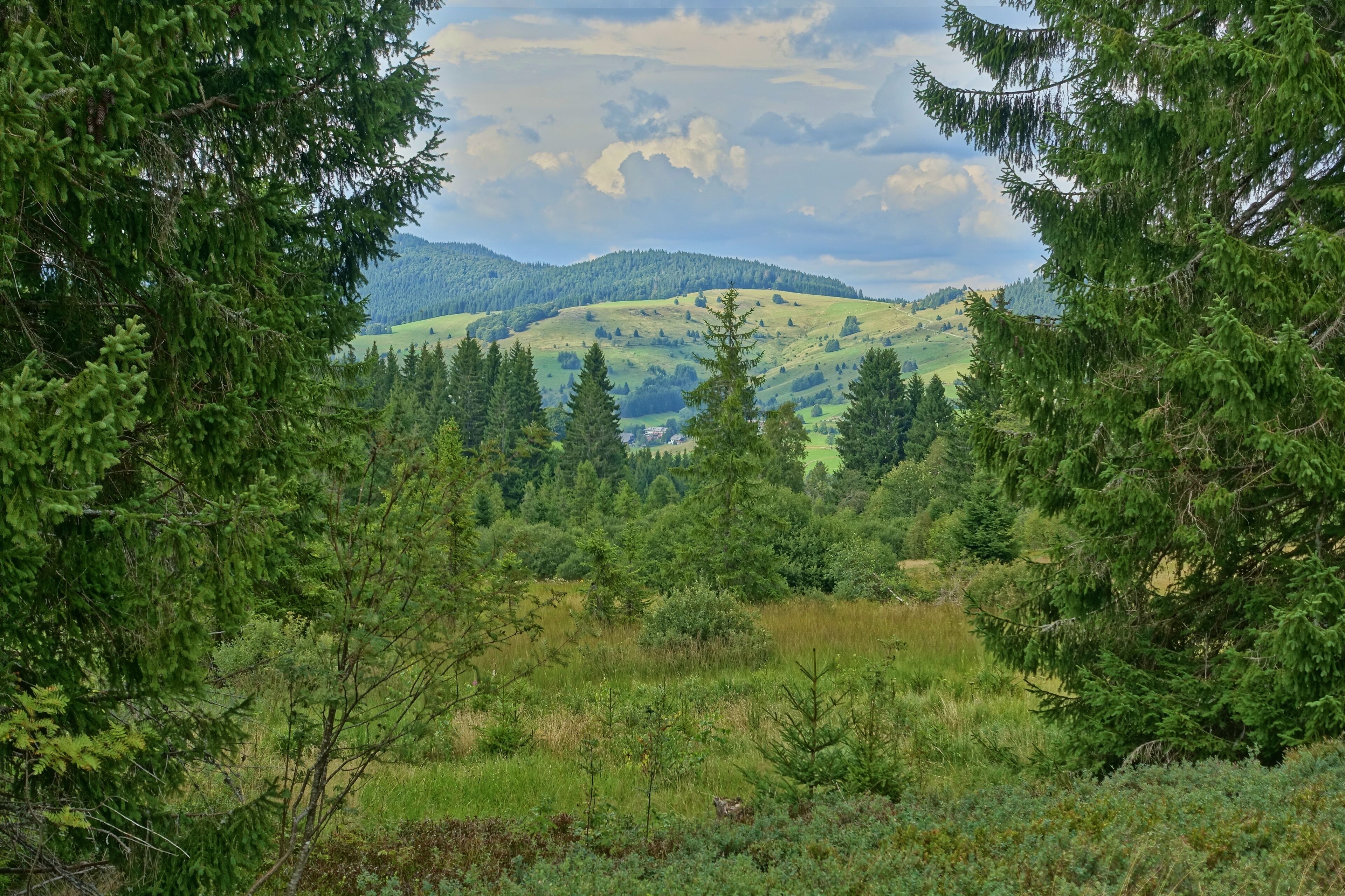 Auf dem Zauberwald-Pfad.