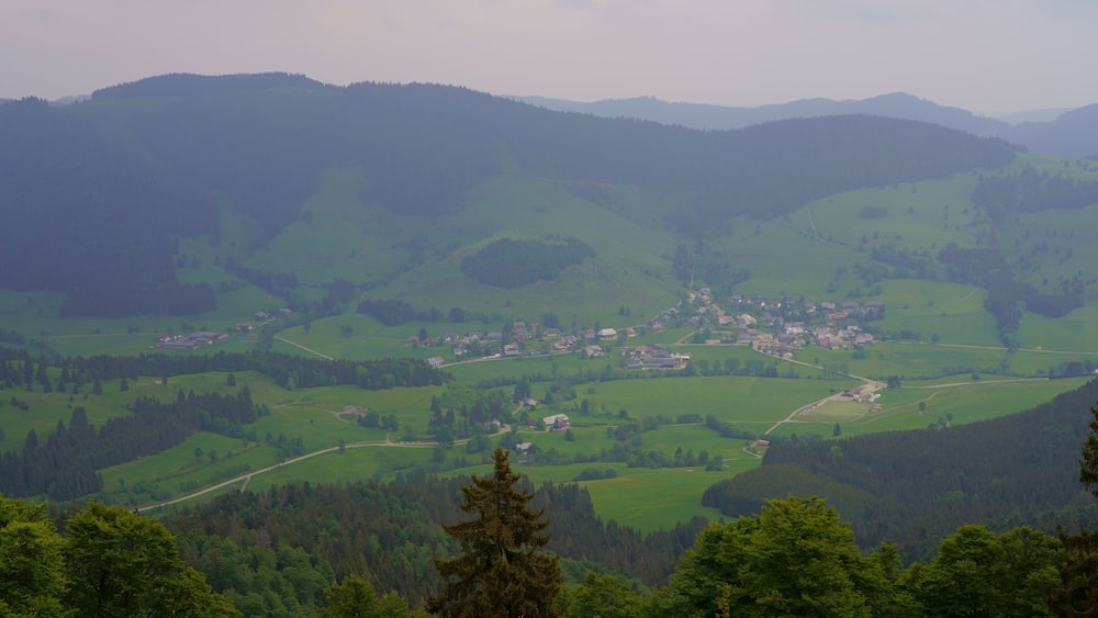Ein Tal mit einer kleinen Stadt, umgeben von sanften Hügeln und dichten Wäldern.