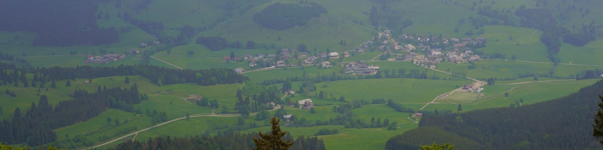 Ein Tal mit einer kleinen Stadt, umgeben von sanften Hügeln und dichten Wäldern.