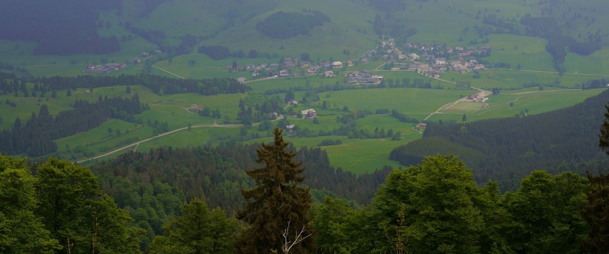 Blick vom Blößling