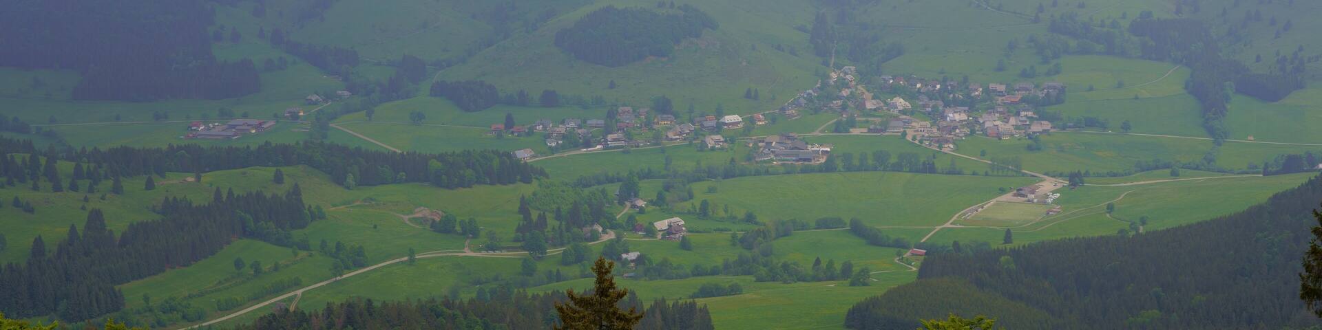 A valley with a small town surrounded by rolling hills and dense forests.
