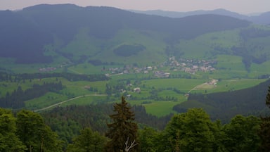 Un valle con un pueblo pequeño rodeado de colinas ondulantes y bosques frondosos.