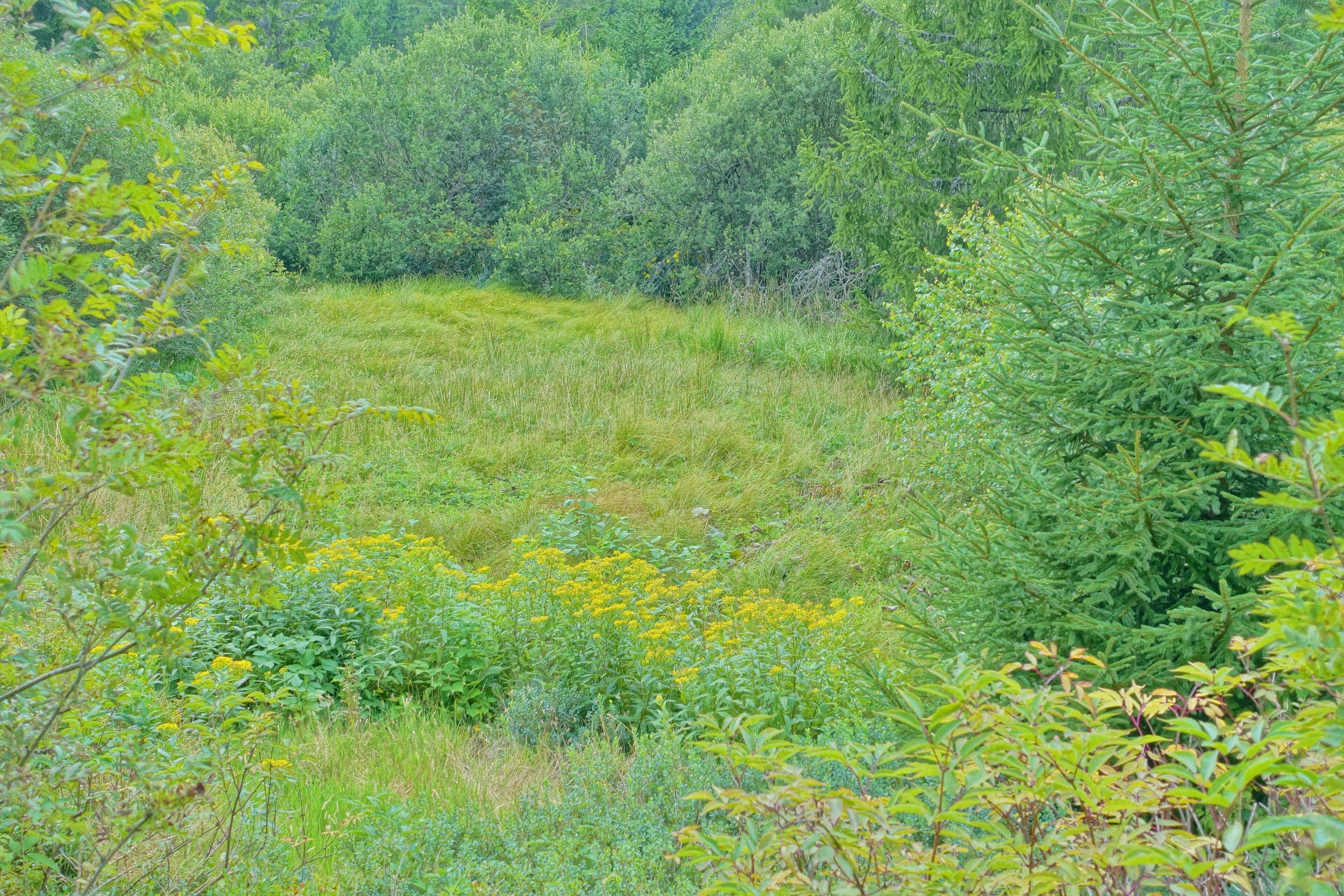 Auf dem Zauberwald-Pfad.
