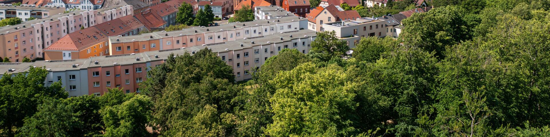 Kirche St. Marien in Bernau bei Berlin im Sommer