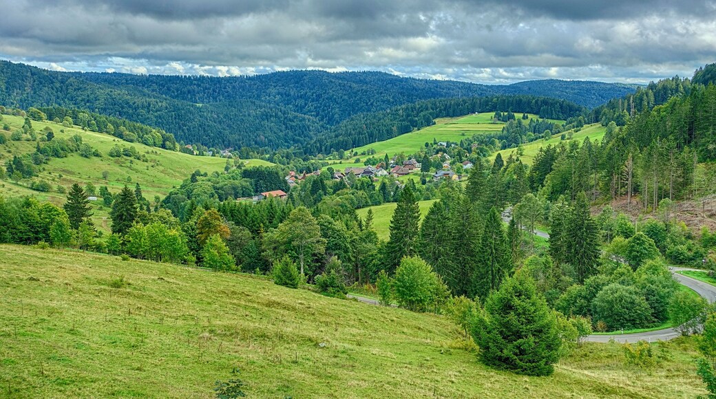 Landschaft beim Standort Hochkopfhaus mit Blick nach Weg