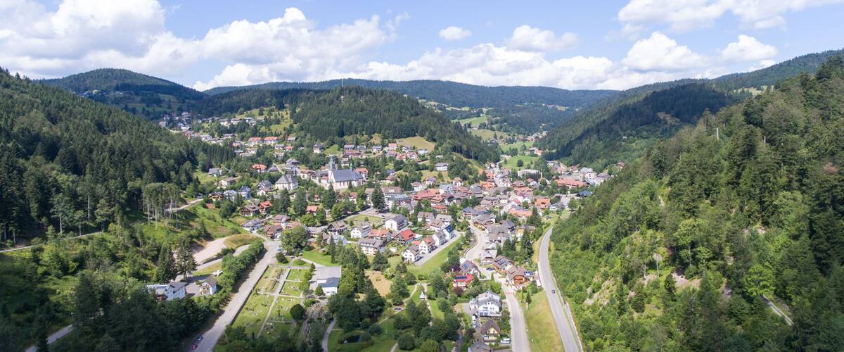 A town nestled in a valley surrounded by forested hills.