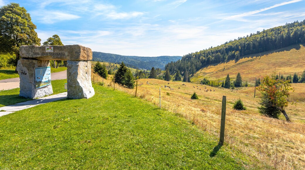 a monument marks the gate to the Wehra valley, southern Black Forest, Germany, at the pass height WeiBenbachsattel between Gschwend and Todtmoos