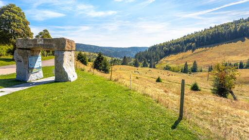 ํ ํธ๋ฌด์ค