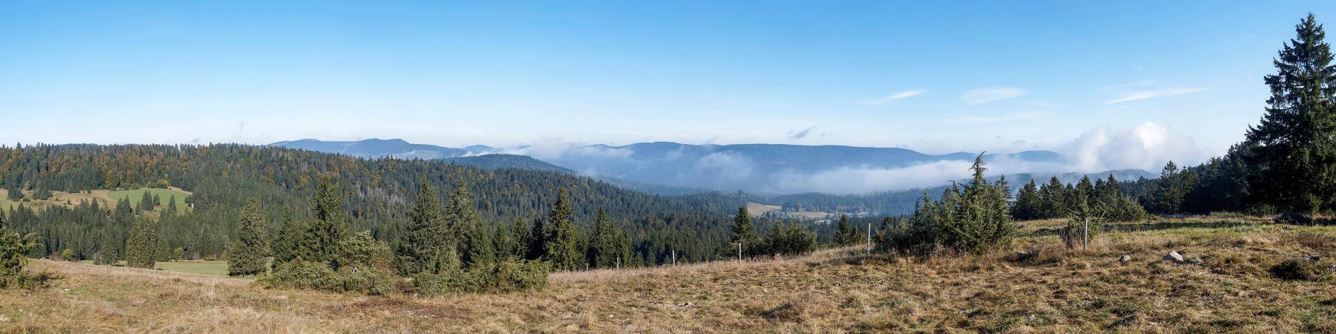 Ibach im Hotzenwald zwischen Sankt Blasien und Todtmoos im Hotzenwald im Naturpark Südschwarzwald. Blick vom Ibacher Friedenskreuz und Panoramaweg