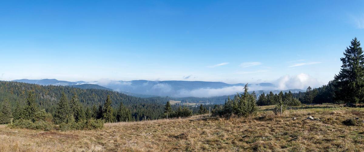 A mountainous landscape with dense forests, a clear sky, and distant mist-covered peaks.