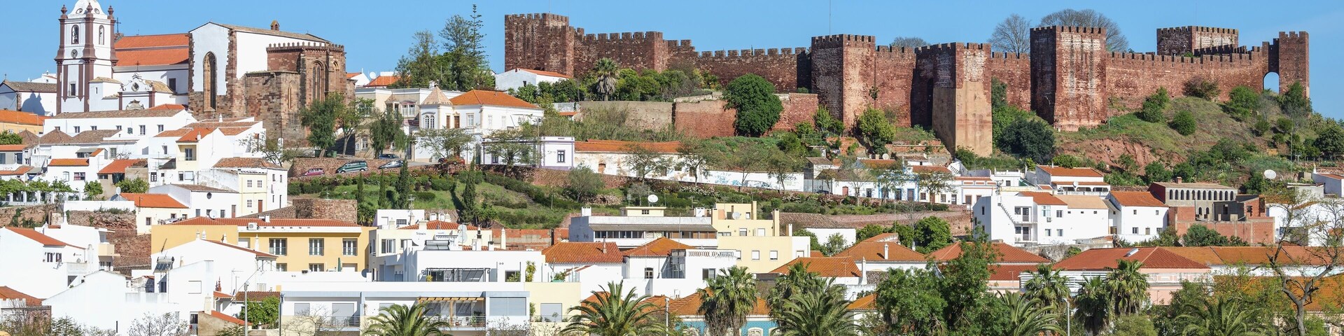 Un paisaje urbano histórico con un castillo destacado y una iglesia.