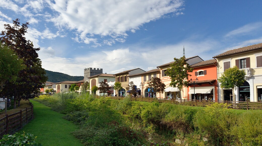 باربيرينو دي موجيلو