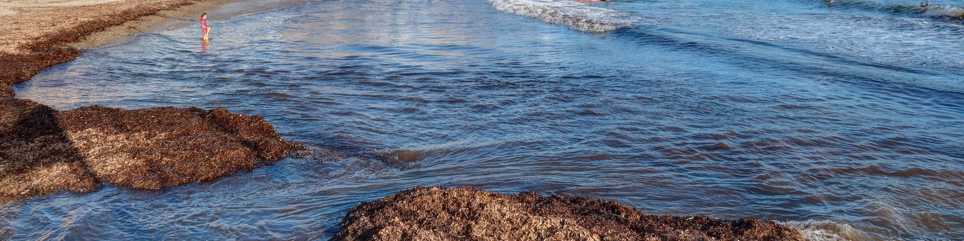page de Saint-Cyr-sur-Mer, France, Provence