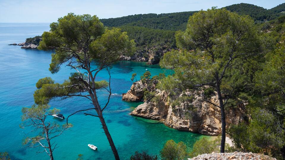 Calanque de Port d'Alon landscape (between Saint-Cyr-sur-Mer and Bandol), France. Spectacular view of sea coast, cliffs, boats, pine trees from hiking path. Travel, nature, environment background.