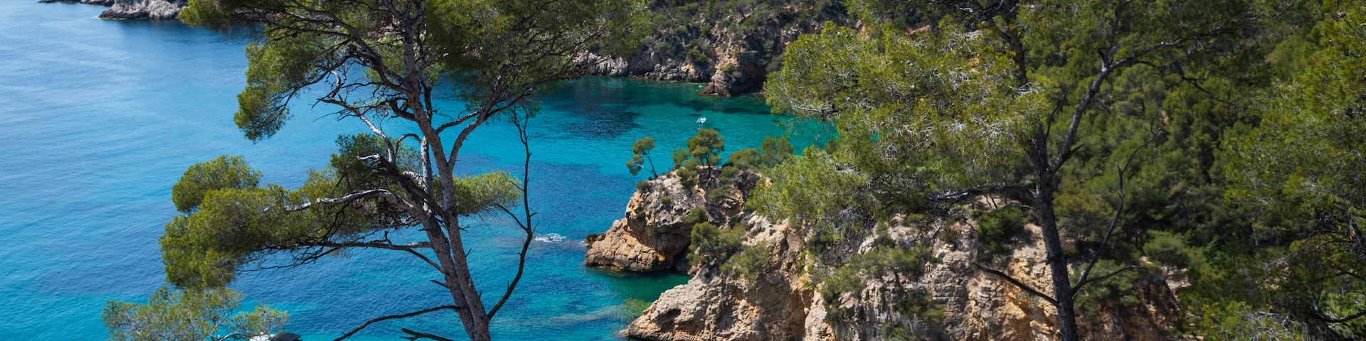 Calanque de Port d'Alon landscape (between Saint-Cyr-sur-Mer and Bandol), France. Spectacular view of sea coast, cliffs, boats, pine trees from hiking path. Travel, nature, environment background.