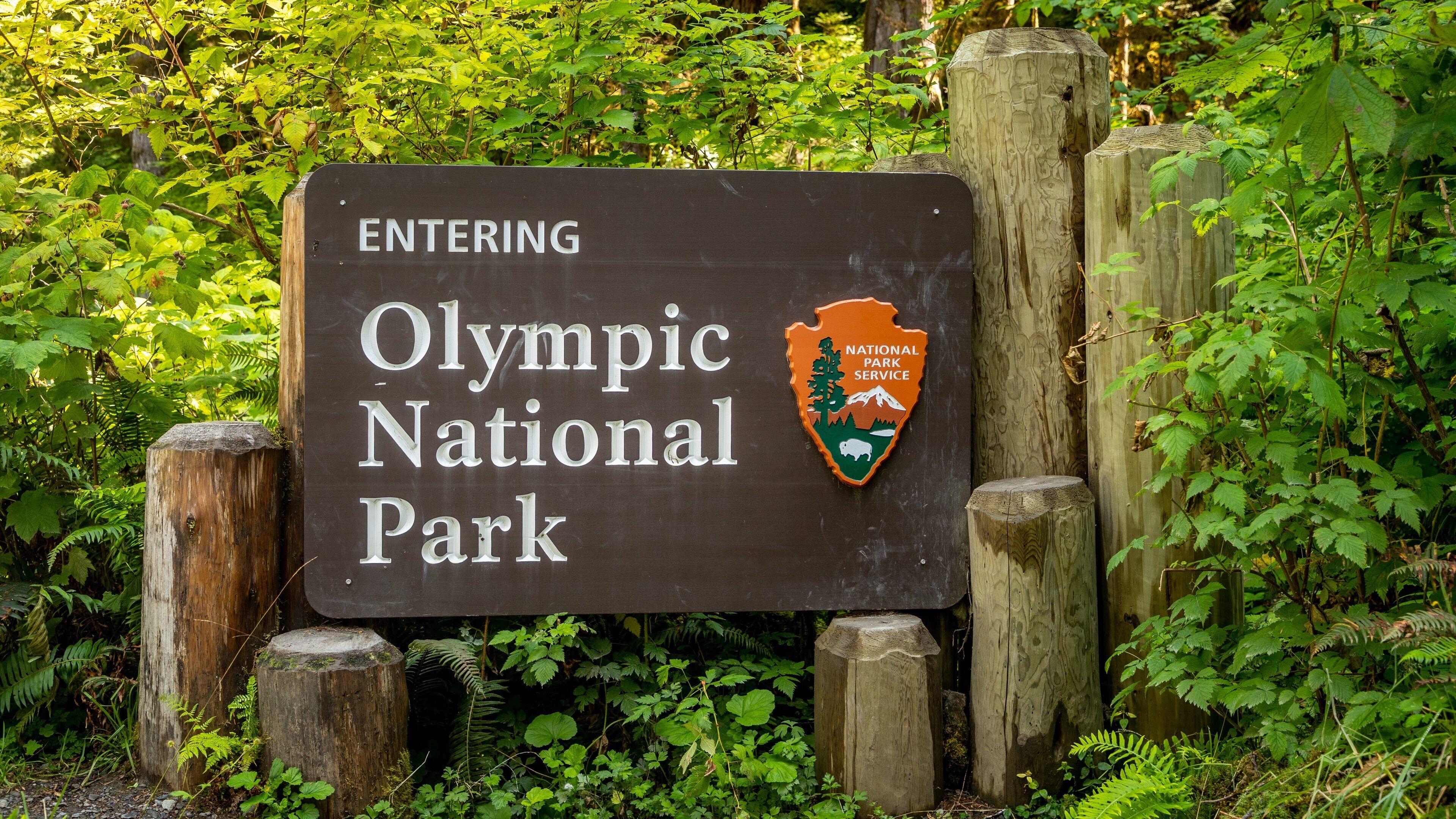 A sign indicating the entrance to Olympic National Park.