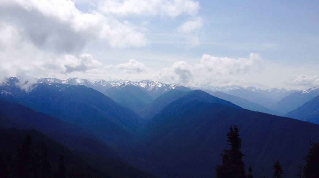 Hurricane Ridge