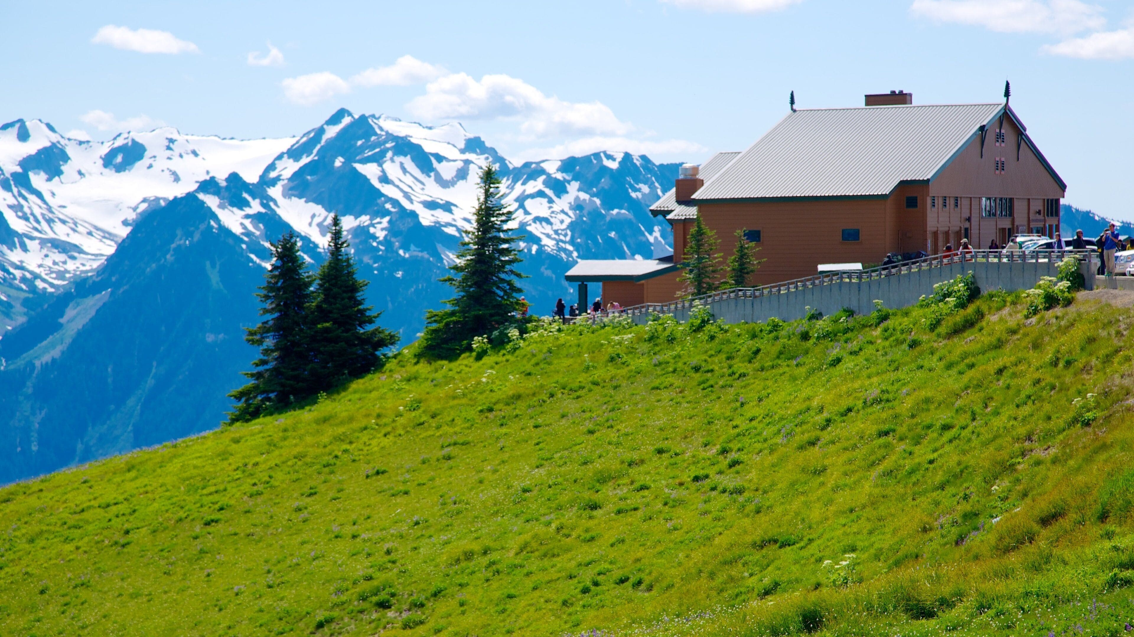 Olympic National Park showing a small town or village, landscape views and mountains