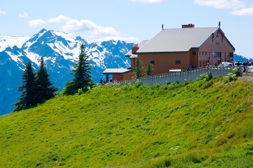 A mountain lodge with snow-capped peaks in the background.