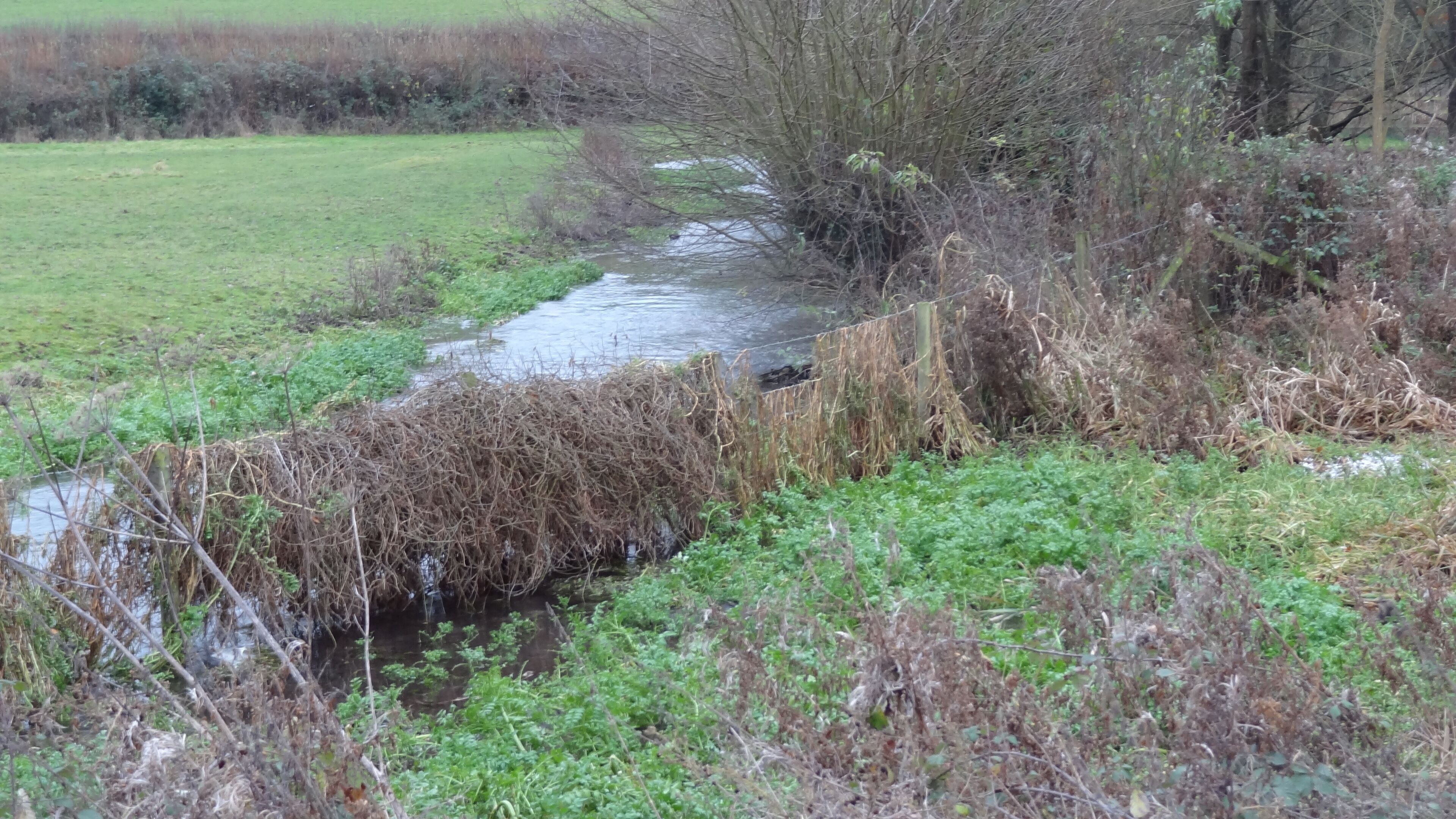 Frogmore Meadows, nature reserve and SSSI in Chenies Bottom, Hertfordshire, and River Chess