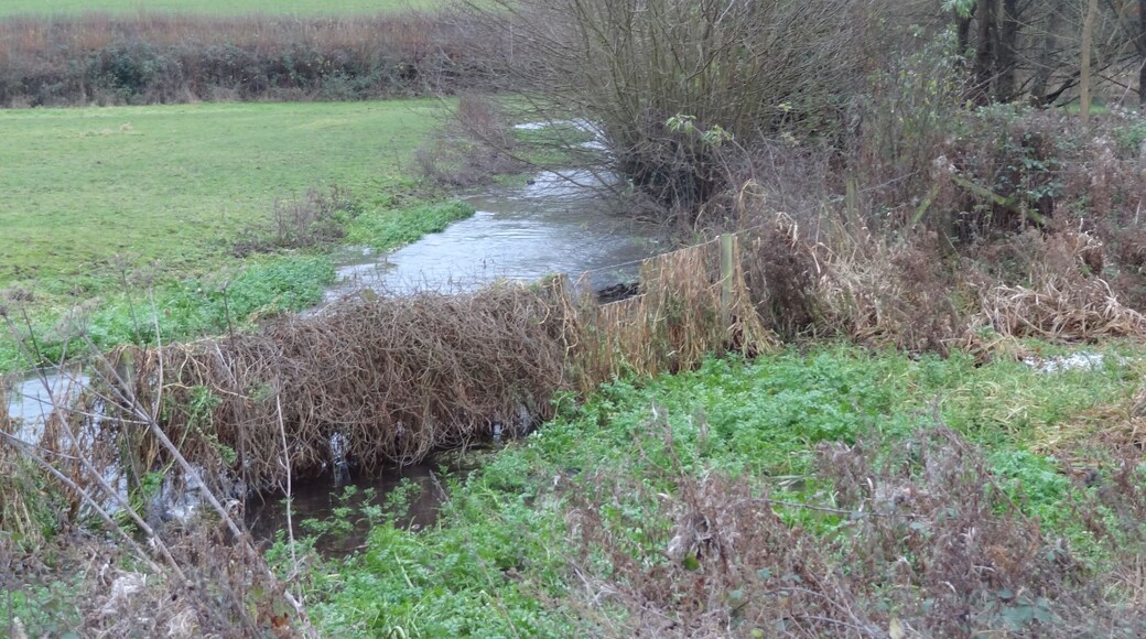 Frogmore Meadows, nature reserve and SSSI in Chenies Bottom, Hertfordshire, and River Chess
