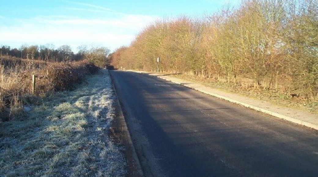 Chandler's Cross: Fir Tree Hill. Fir Tree Hill is the name of the road, viewed looking westwards towards Chandler's Cross.