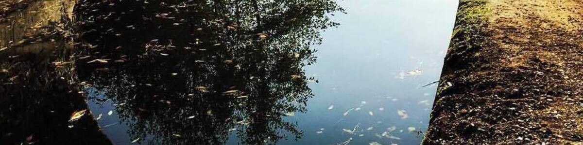 beautiful country side ...