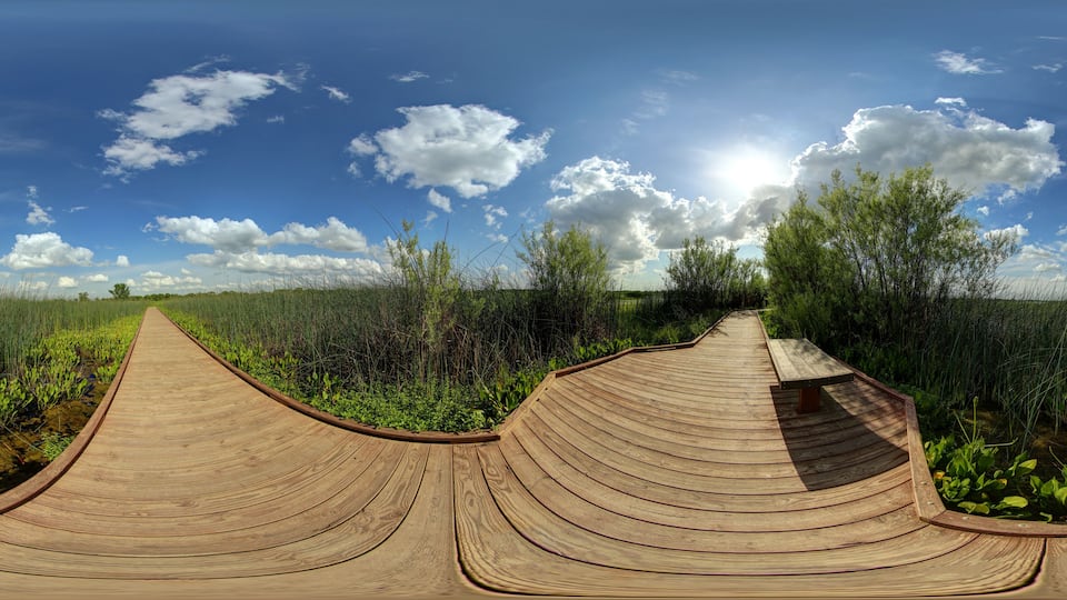 A wooden boardwalk curving through a grassy field with trees and a clear blue sky.