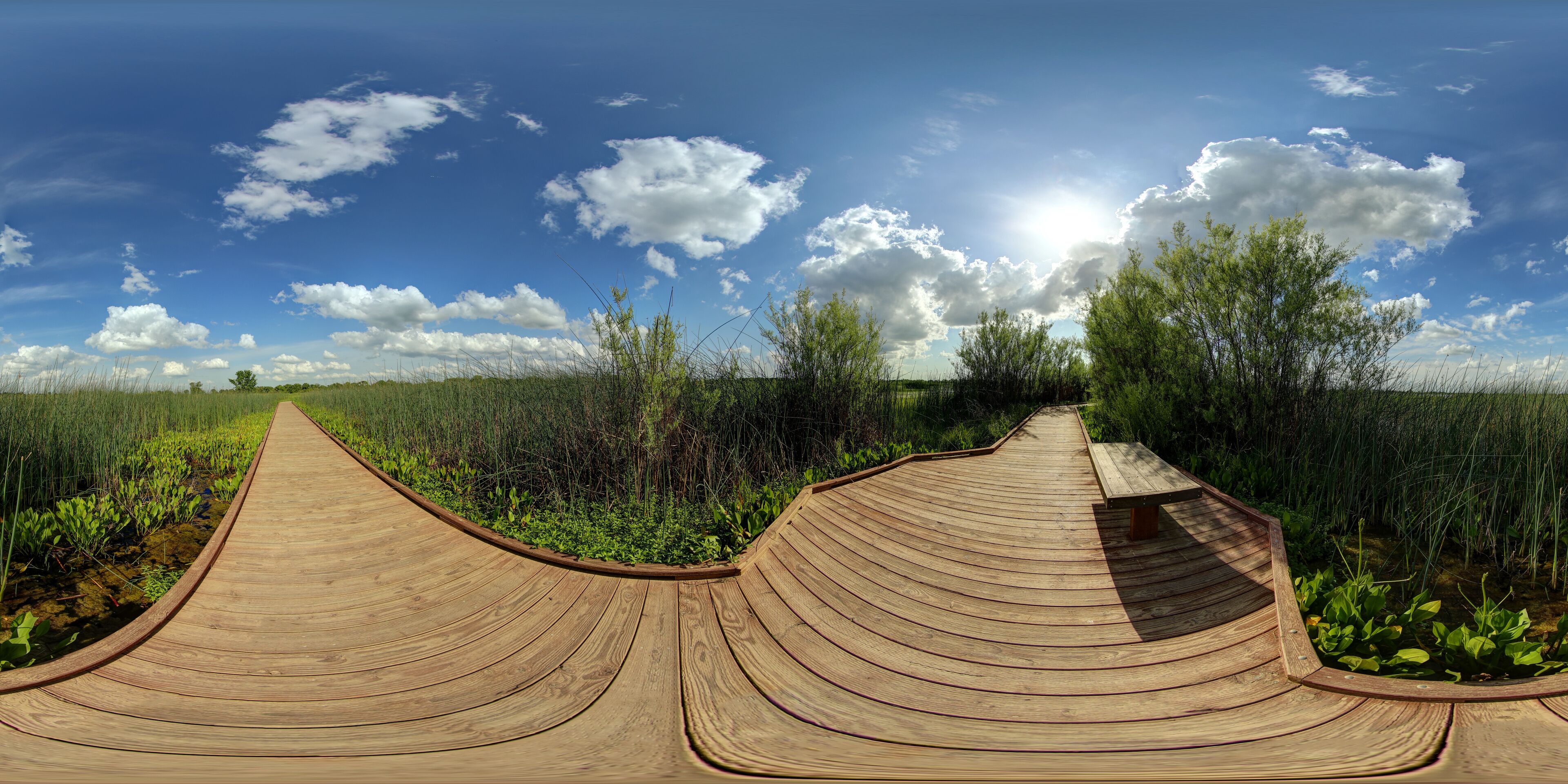 A wooden boardwalk curving through a grassy field with trees and a clear blue sky.